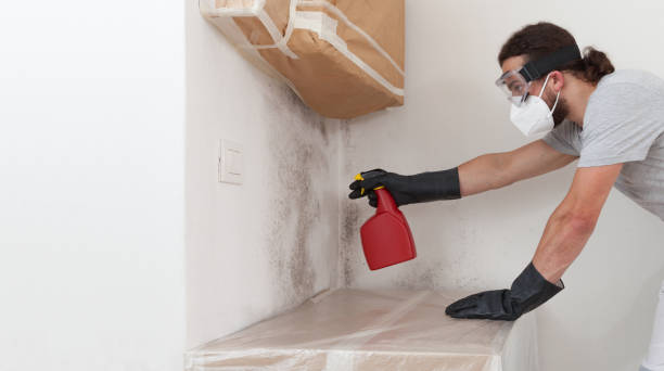 Professional Mold Removal technician working in Parksley, VA