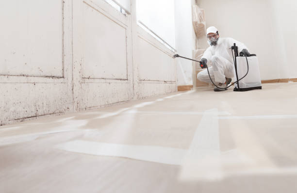 24/7 Emergency Mold Removal experts in Parksley, VA